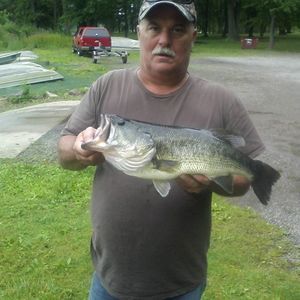 Meet your Posher, Ron